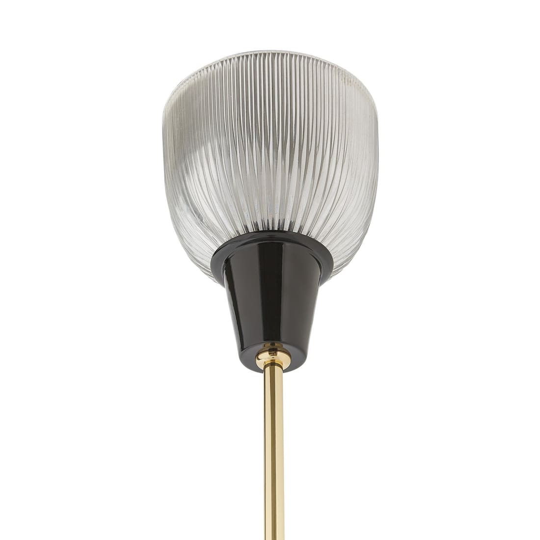 Coppa Aperta Piantana