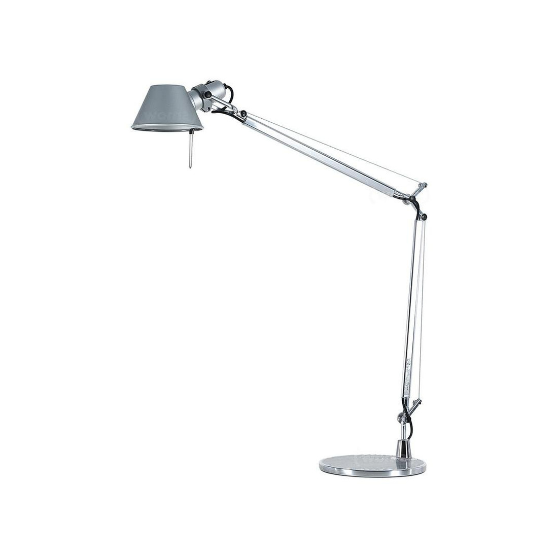 Tolomeo